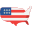 USA Flag